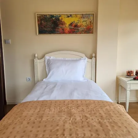 Apartamento Luxury Penthouse Vb With Panoramic Terrace, Area Santa Marina, *